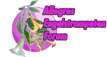 Allegras Foren
